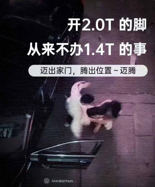 爆料视频打架是真的吗 第1张 爆料视频打架是真的吗 第1张
